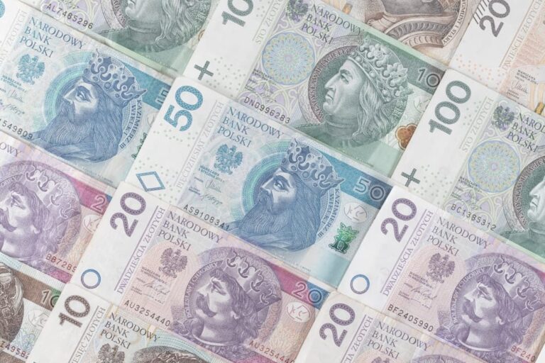 Kobieta siedzi przy stole w domu i przegląda koszty swojego ubezpieczenia zdrowotnego.